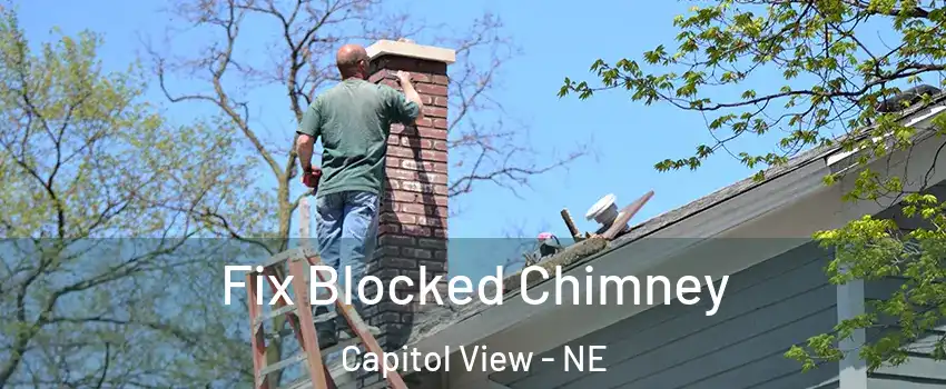 Fix Blocked Chimney Capitol View - NE
