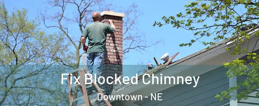 Fix Blocked Chimney Downtown - NE
