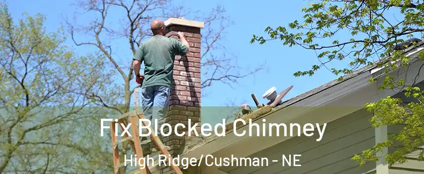 Fix Blocked Chimney High Ridge/Cushman - NE