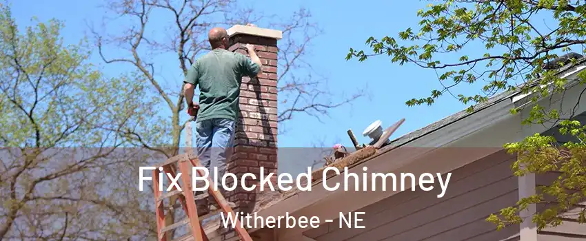 Fix Blocked Chimney Witherbee - NE