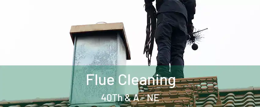 Flue Cleaning 40Th & A - NE