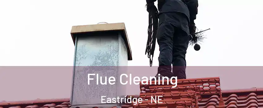 Flue Cleaning Eastridge - NE