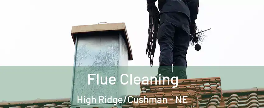 Flue Cleaning High Ridge/Cushman - NE