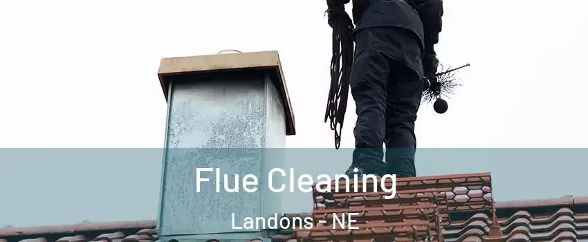 Flue Cleaning Landons - NE