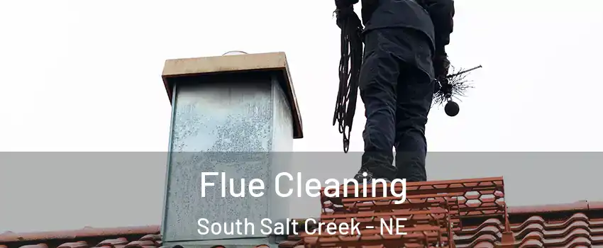 Flue Cleaning South Salt Creek - NE