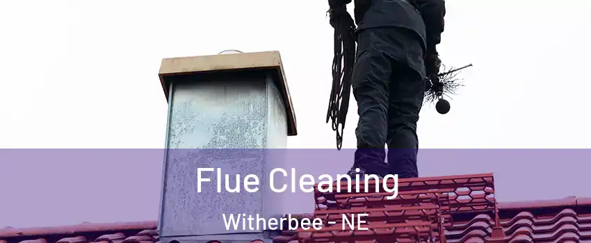 Flue Cleaning Witherbee - NE
