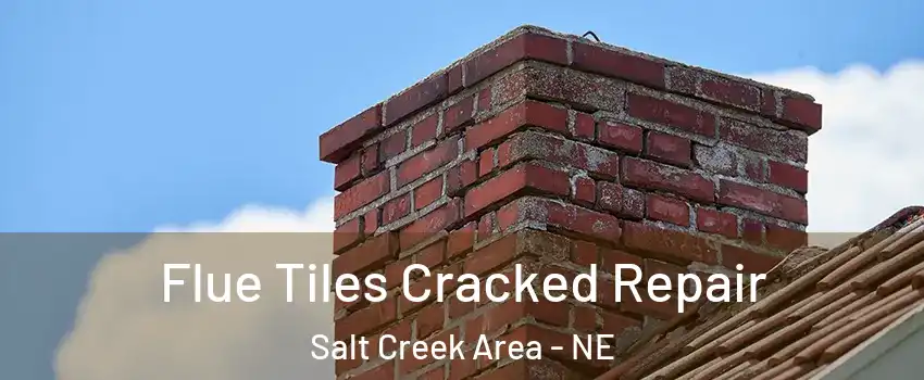Flue Tiles Cracked Repair Salt Creek Area - NE