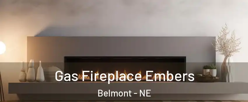 Gas Fireplace Embers Belmont - NE