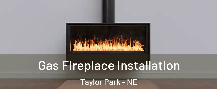 Gas Fireplace Installation Taylor Park - NE