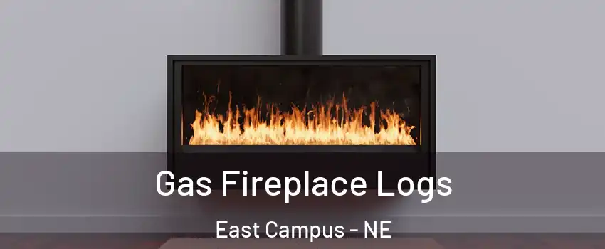 Gas Fireplace Logs East Campus - NE