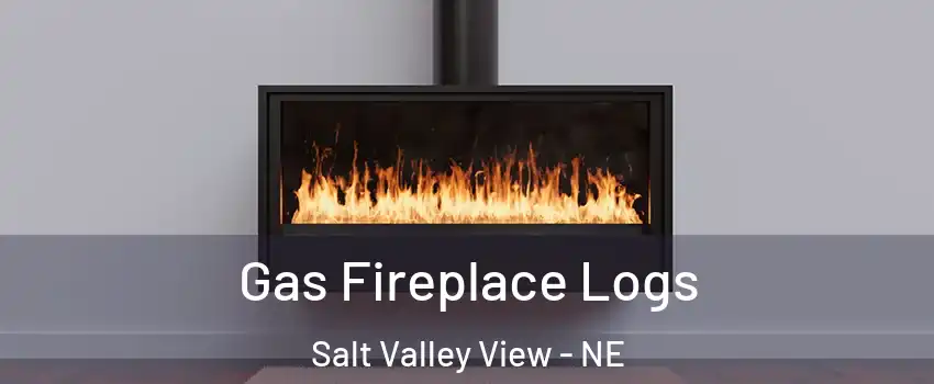 Gas Fireplace Logs Salt Valley View - NE
