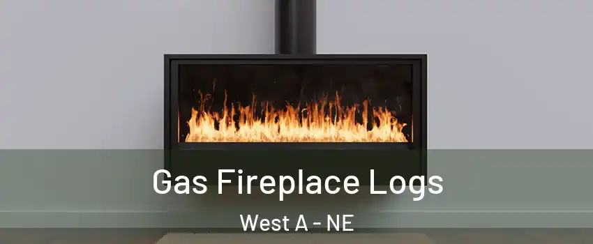 Gas Fireplace Logs West A - NE