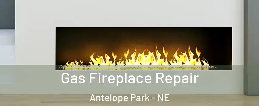 Gas Fireplace Repair Antelope Park - NE