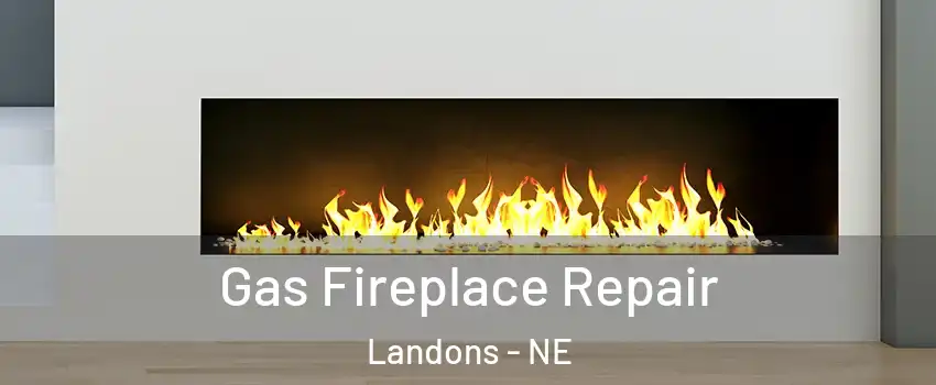 Gas Fireplace Repair Landons - NE
