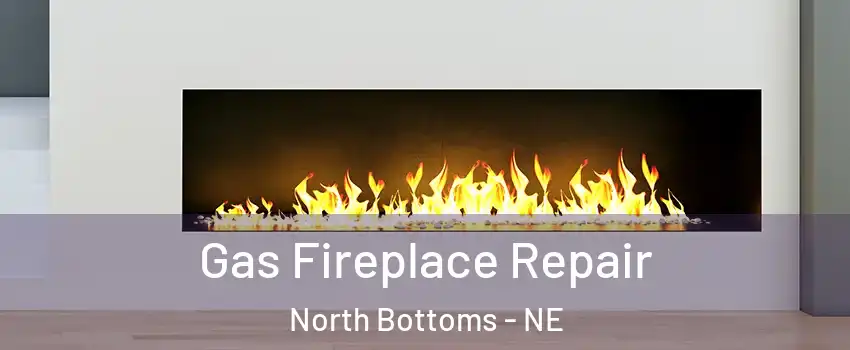 Gas Fireplace Repair North Bottoms - NE