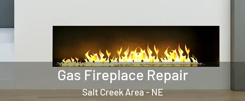 Gas Fireplace Repair Salt Creek Area - NE