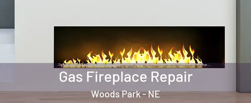 Gas Fireplace Repair Woods Park - NE