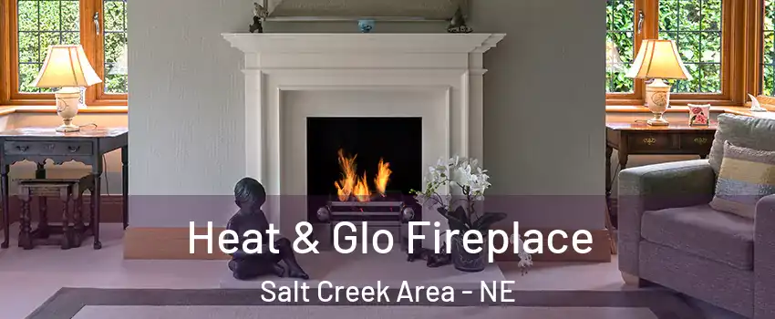 Heat & Glo Fireplace Salt Creek Area - NE