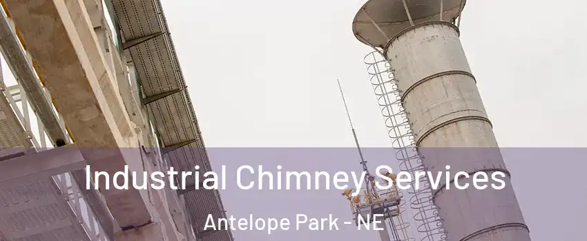Industrial Chimney Services Antelope Park - NE