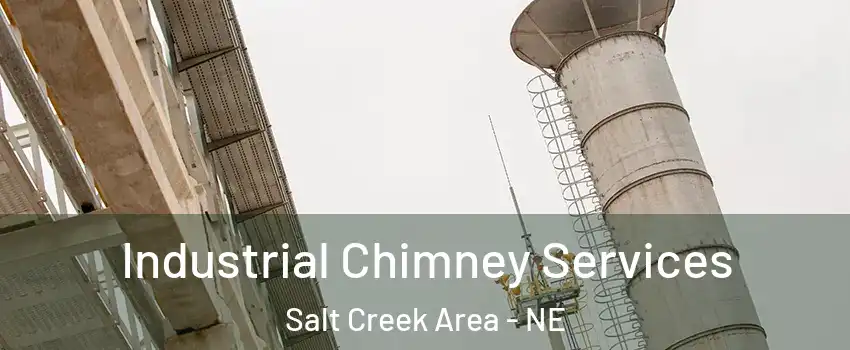 Industrial Chimney Services Salt Creek Area - NE