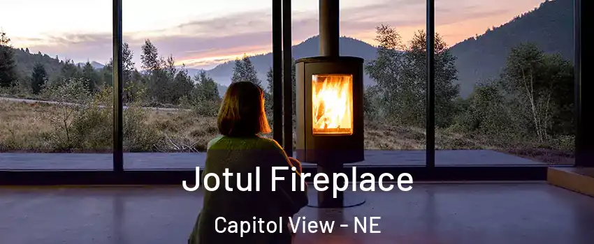Jotul Fireplace Capitol View - NE