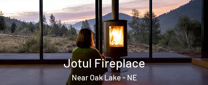 Jotul Fireplace Near Oak Lake - NE