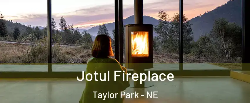 Jotul Fireplace Taylor Park - NE