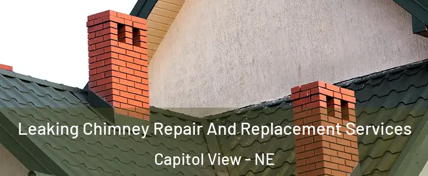 Leaking Chimney Repair And Replacement Services Capitol View - NE