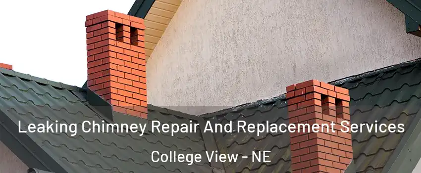 Leaking Chimney Repair And Replacement Services College View - NE
