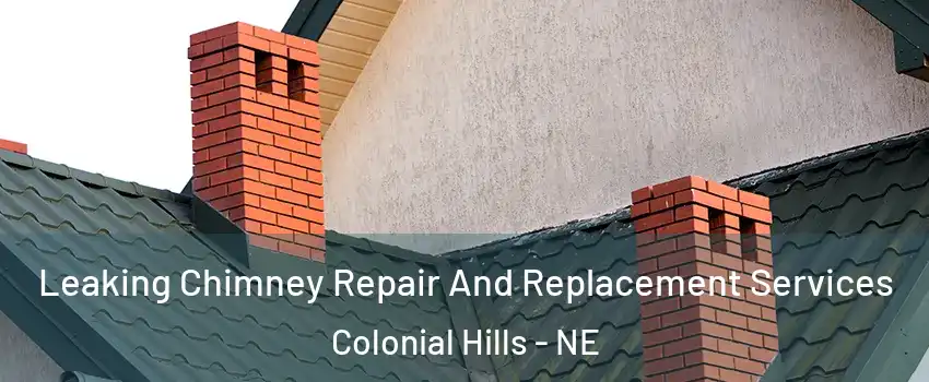 Leaking Chimney Repair And Replacement Services Colonial Hills - NE