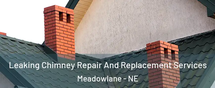 Leaking Chimney Repair And Replacement Services Meadowlane - NE