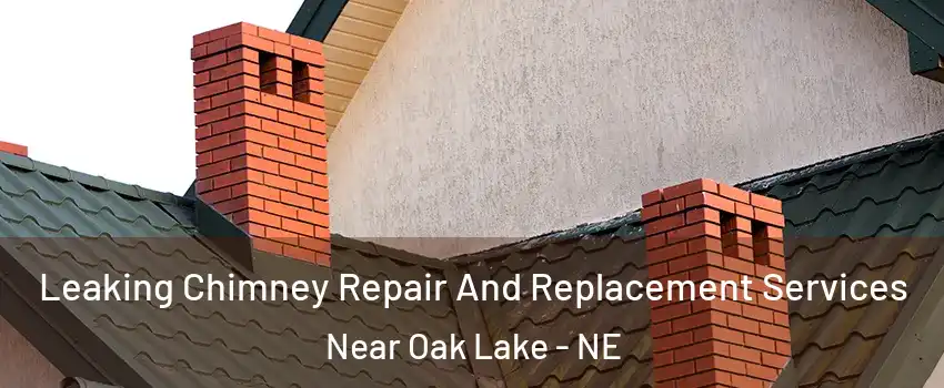 Leaking Chimney Repair And Replacement Services Near Oak Lake - NE