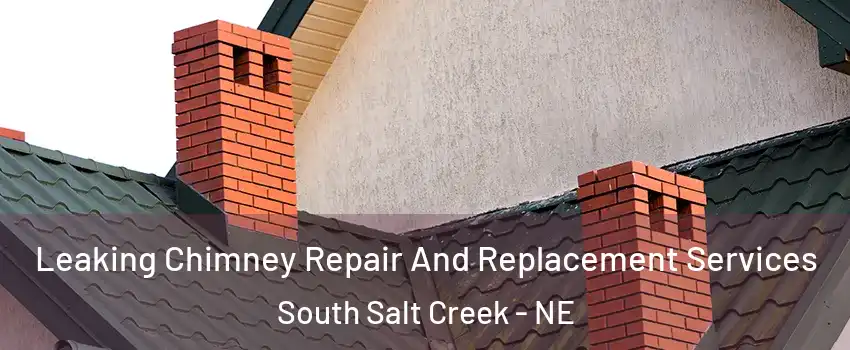 Leaking Chimney Repair And Replacement Services South Salt Creek - NE