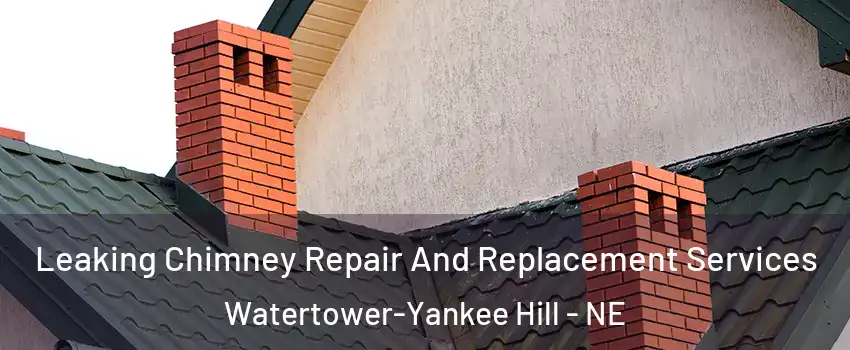 Leaking Chimney Repair And Replacement Services Watertower-Yankee Hill - NE