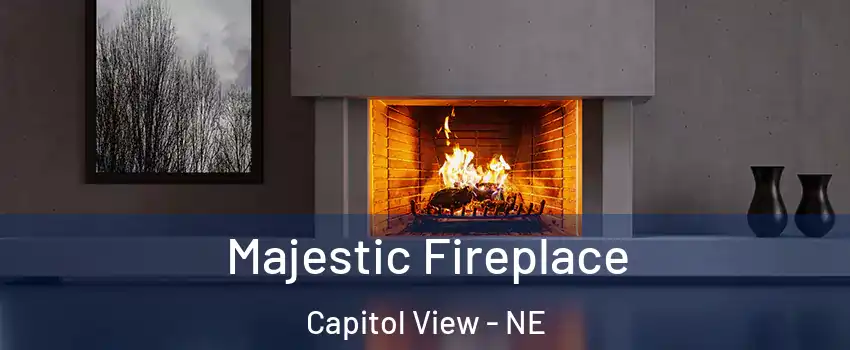 Majestic Fireplace Capitol View - NE