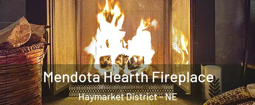 Mendota Hearth Fireplace Haymarket District - NE