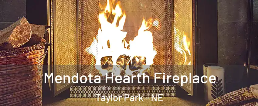 Mendota Hearth Fireplace Taylor Park - NE