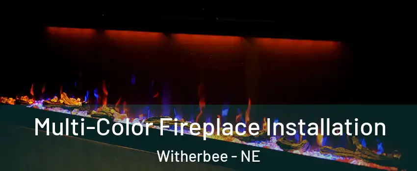 Multi-Color Fireplace Installation Witherbee - NE