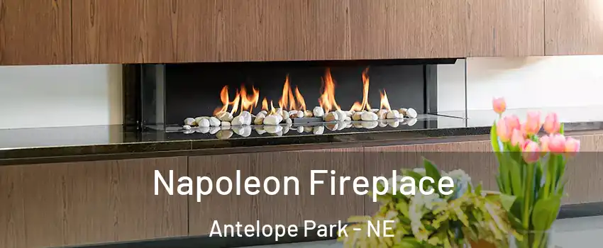 Napoleon Fireplace Antelope Park - NE