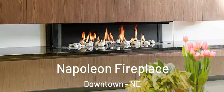 Napoleon Fireplace Downtown - NE