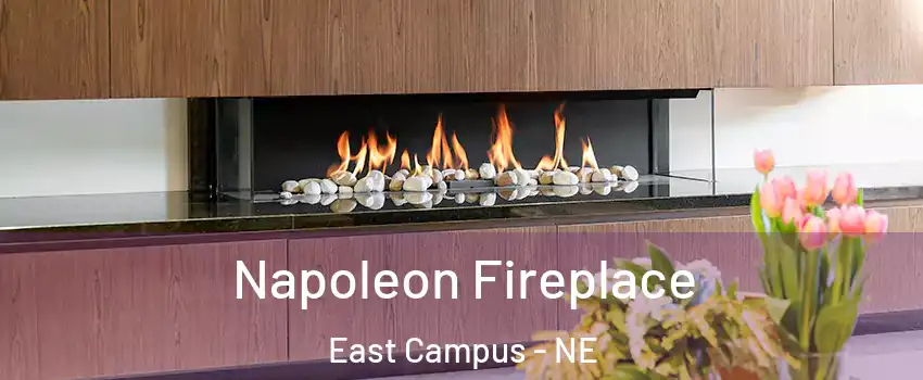 Napoleon Fireplace East Campus - NE