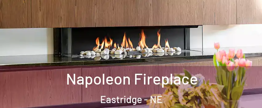 Napoleon Fireplace Eastridge - NE
