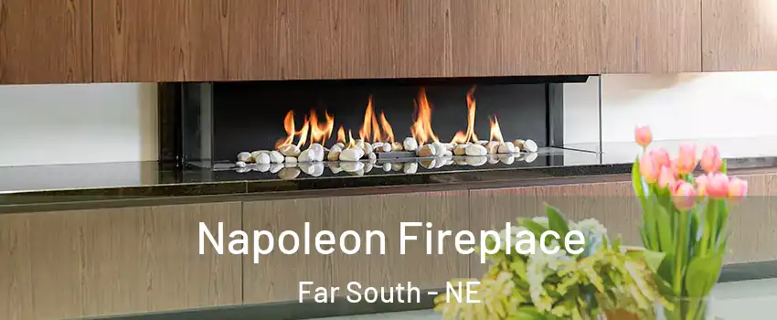 Napoleon Fireplace Far South - NE
