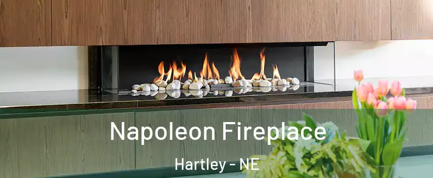 Napoleon Fireplace Hartley - NE
