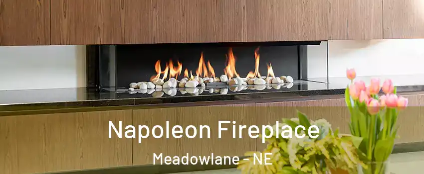Napoleon Fireplace Meadowlane - NE