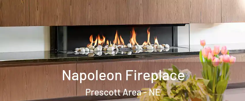 Napoleon Fireplace Prescott Area - NE