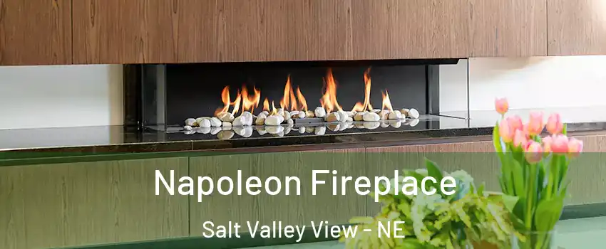 Napoleon Fireplace Salt Valley View - NE