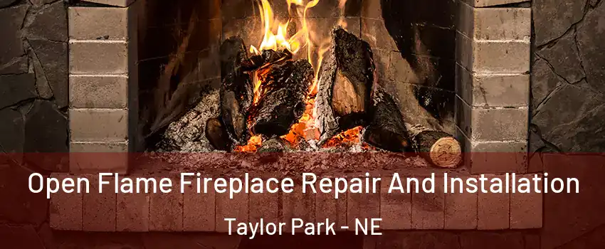 Open Flame Fireplace Repair And Installation Taylor Park - NE