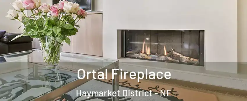 Ortal Fireplace Haymarket District - NE