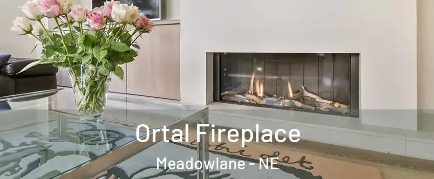 Ortal Fireplace Meadowlane - NE
